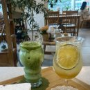 티의수채화TEA.CHAE