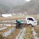 와이디팜 이미지