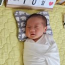 누리보듬헤어 | 화성 동탄 누리보듬산후조리원 후기~