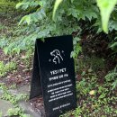 소길숲속 민박 이미지