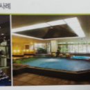 태영에너지 태양광발전소 이미지