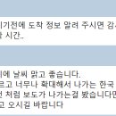 레몬트리 이미지