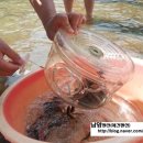 남양펜션 이미지