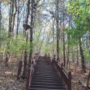 큰재봉공원 배드민턴장 이미지