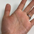 오션블루 | 쫀광크림, 에이룹스 딥오션 블루 캡슐 히알루론 모이스처크림 후기