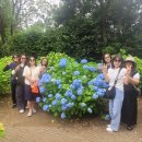 (주)제주미니버스투어서비스 이미지