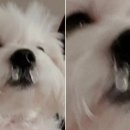 나누리스토어 이미지