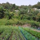 고동영행정사 사무소 이미지