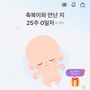 (주)클린코리아 안강공장 | 임신기록 / 21주~28주 / 입체초음파 / 임당 재검당첨 / 임산부요가 / 임신육아교실