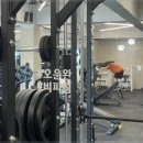 비피짐 이미지