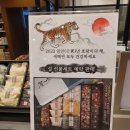 롯데리사이클 이미지