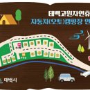 겨울 태백고원자연휴양림 야영장 이용후기