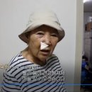 남매약초