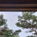 파파스브로트 이미지