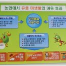 홍천군농업기술센터 동부지소 이미지