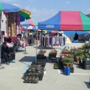 청양시장 이미지