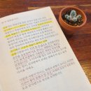 킷사텐 - 관악구 남부순환로165길 12 | 킷사텐