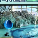 덕구온천단체 이미지