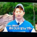 2018.4.14 SBS TV동물농장 MC 토니오빠 이미지