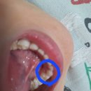 디자인스타치과의원 이미지