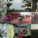 영흥도관광펜션 이미지