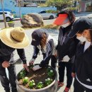 평화정비 이미지