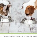 (주)인섹트바이오텍 이미지