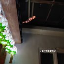 사랑의 열쇠 이미지