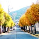 박숙경의 "서툰 염려" 중국어, 영어 번역 이미지