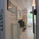 원두네멍냥백서