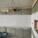 브라운빌 이미지