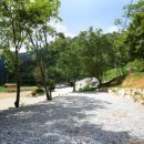 물내치기 이미지