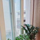 월배로 97길 | 대구마사지 정성껏 해주시는 명성마사지 후기