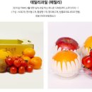 팜투도어