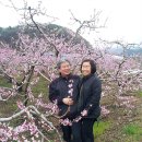 신광목장 이미지