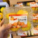 가락시장 과일소매 마트 과일 공급 업체 추천_가락시장 성은유통