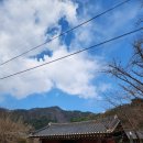 [ 강원특별자치도 가볼만한곳 ] 홍천 공작산 수타사생태숲 산소길