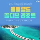 (주)소프트다인 | W11_신혼여행 조기졸업 성공 몰디브 에메랄드 리조트 계약, 투어민 박람회 후기