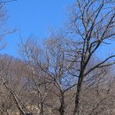 고인돌탐방길 이미지