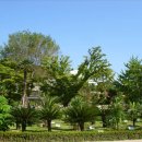 신선로 447번길 이미지