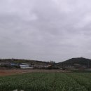 양월1리 이미지