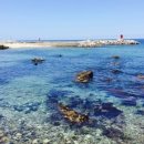 바다별장 이미지