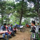 조야초등 이미지