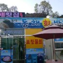 동해회바다 이미지