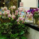 대문한정식 이미지