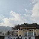 양산국유림관리소(1층) | 충북 괴산 반려동물 펜션:) "스테이소몽" 방문 후기