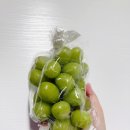 주식회사 메가식자재마트용현 | 고당도 샤인머스캣 2kg 자취생 과일 추천