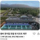 엠버퓨어힐 호텔앤리조트 | 엠버 퓨어힐 호텔 앤 리조트 58% 할인 18만원대 특가 | 제주 숲속 힐링 끝판왕