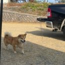 새들보체육공원 이미지