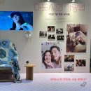 [2024.10.13.(일)] 오늘 일기/주말 일상/영화 관람/타마고 샌드위치/네이버 웹툰 리뷰/시월드가 내게...